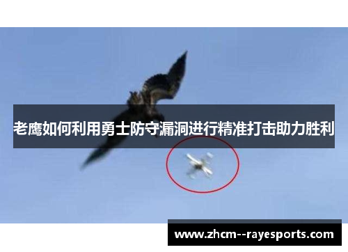 老鹰如何利用勇士防守漏洞进行精准打击助力胜利